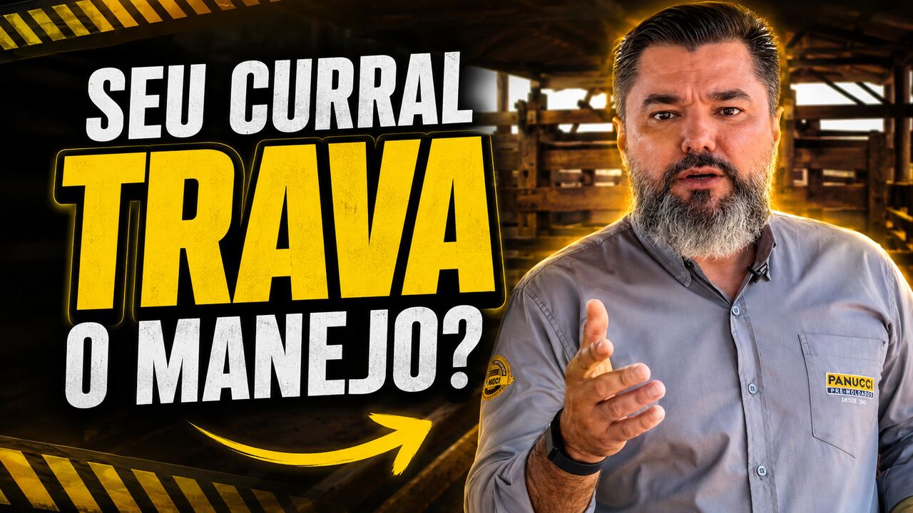 Curral funcional e antiestresse: menos mão de obra e mais segurança no manejo do gado